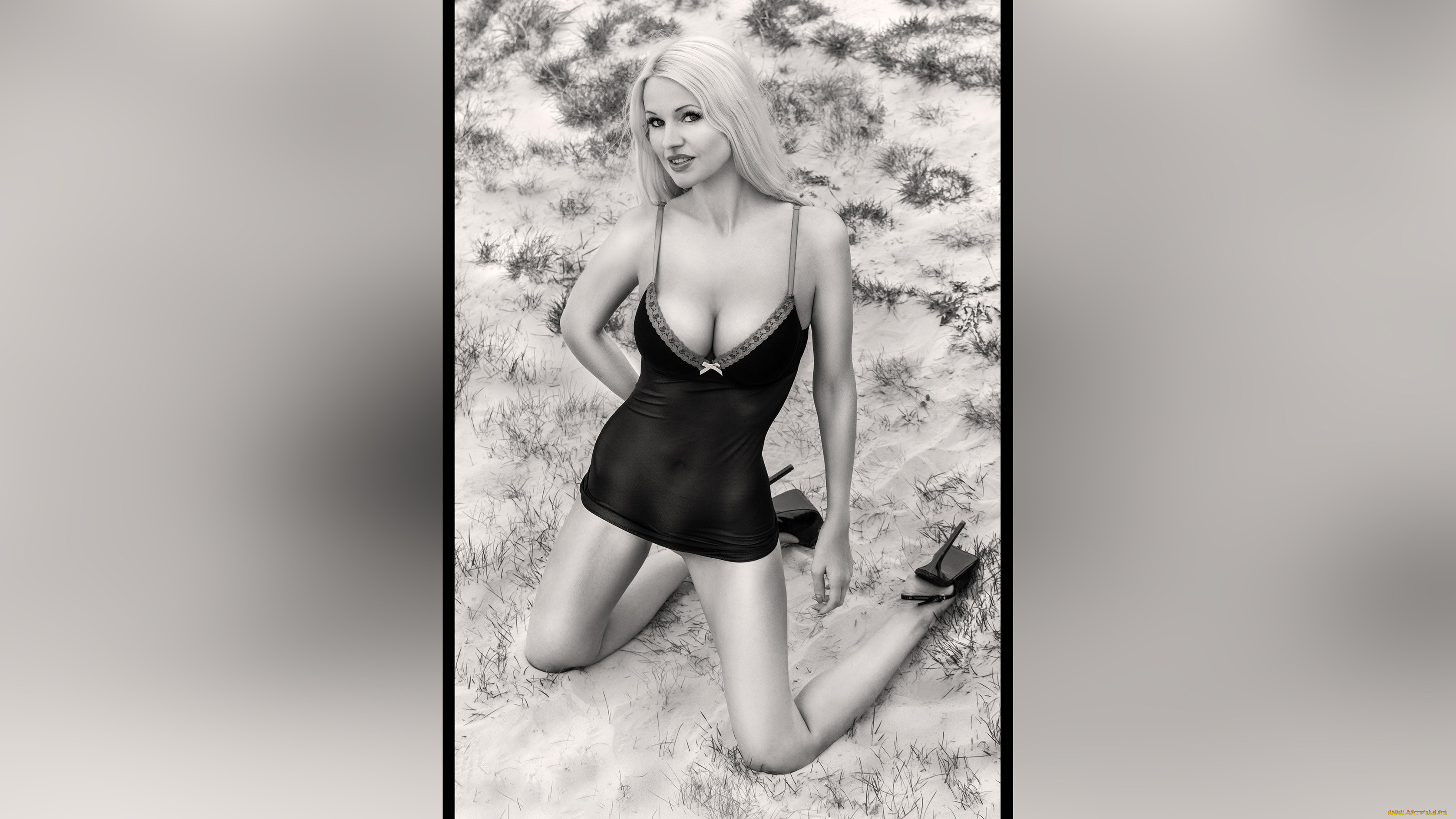 , - ,  , , 